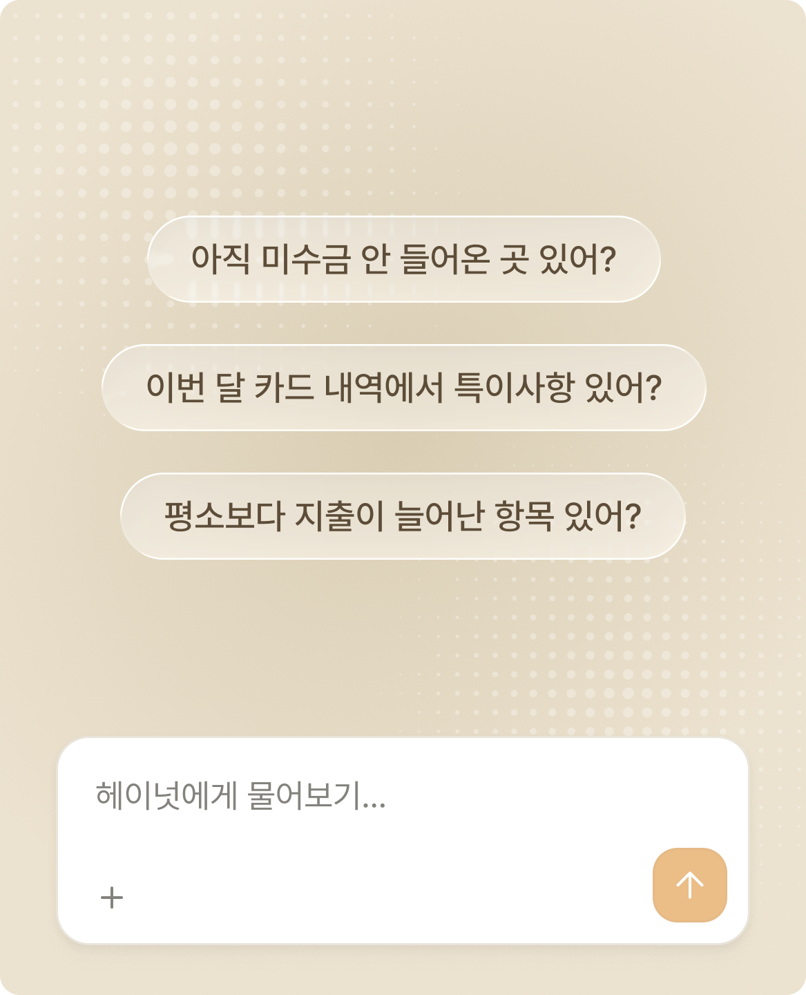 헤이넛에게 자금 내역을 질문하는 예시 화면