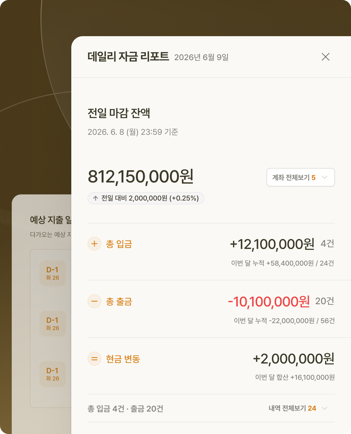 데일리 자금 리포트 예시 화면